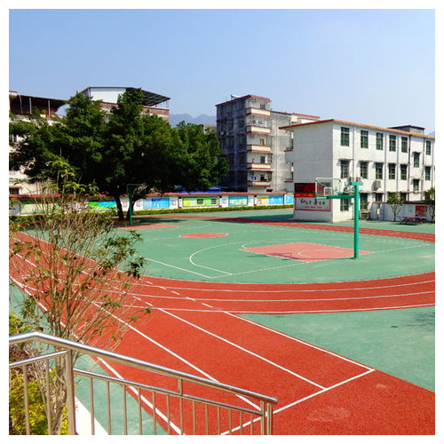 云南雷公坑小学复合型塑胶跑道